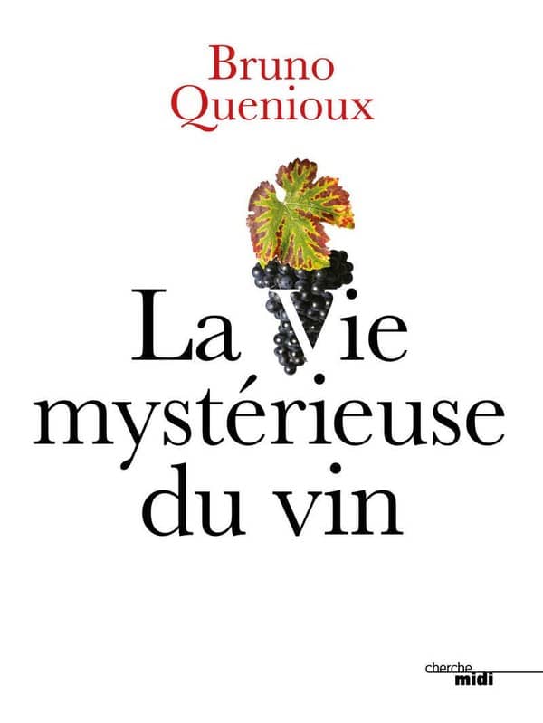 Couverture de « La Vie mystérieuse du vin » de Bruno Quenioux